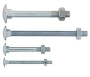 Cup Square Bolt