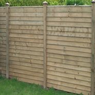 Fence - Panel & Trellis