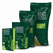 Lawn Seed
