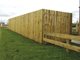 Fence Board 900 x 144 x 19mm