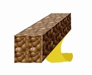 Exitex - Draught Excluder Self Adhesive Foam (Roll) - Brown