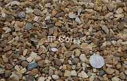 Golden Gravel 10mm